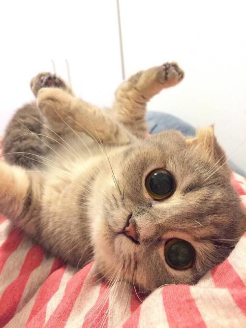 70¹ڷȷﲡ ۼƱ8610