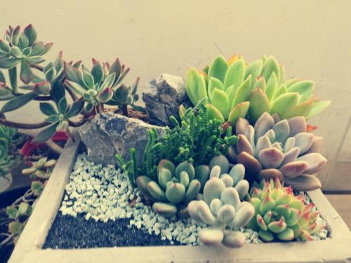 йõԣԭɷݸٳɳ֮